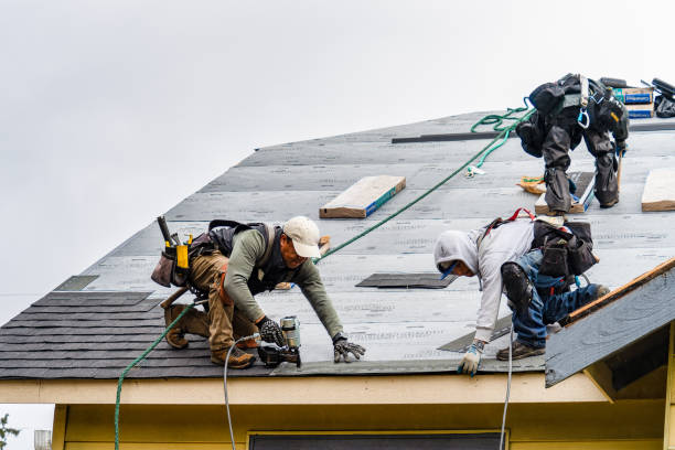 Professional Gutter Installation technician working in Naples, TX